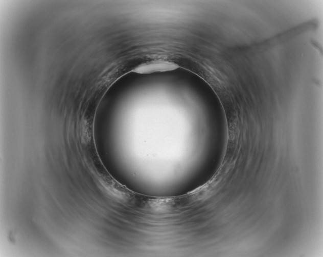 X0000099440136200805091321