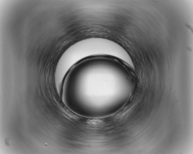 X0000099440137200805091321
