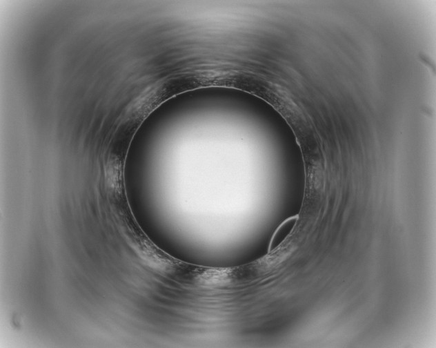 X0000099440138200805091321