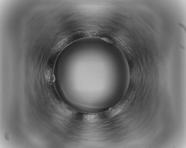 X0000099440139200805091321