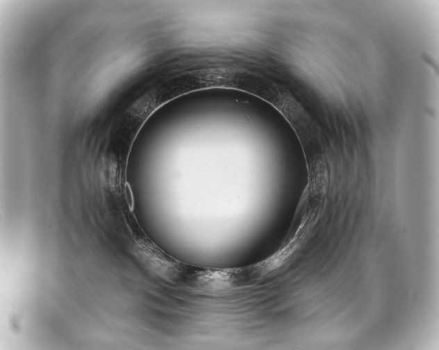 X0000099440140200805091321