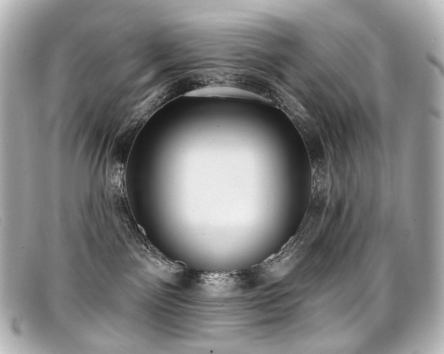 X0000099440141200805091321