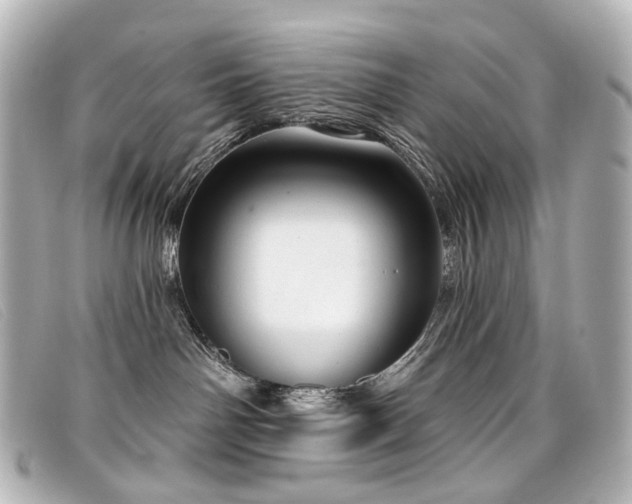 X0000099440142200805091321