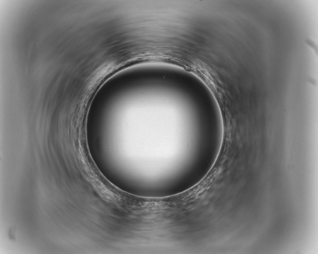 X0000099440145200805091320