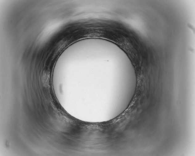 X0000099440146200805091320
