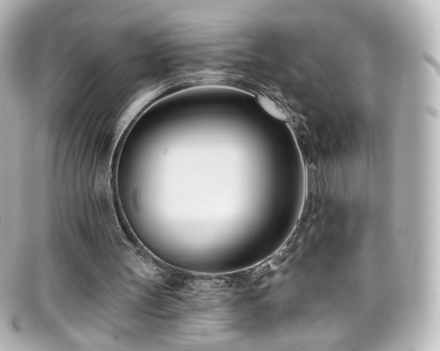 X0000099440147200805091320
