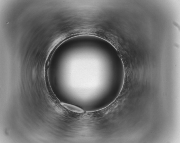 X0000099440148200805091320