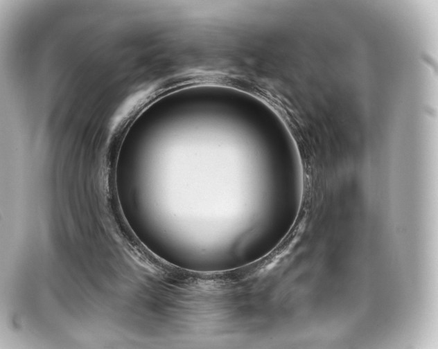 X0000099440149200805091320