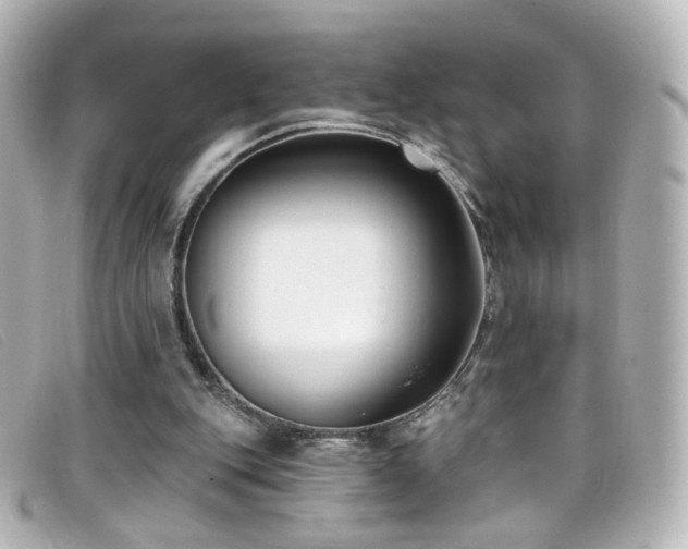 X0000099440151200805091320