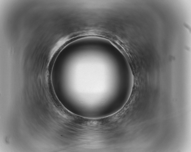 X0000099440152200805091320