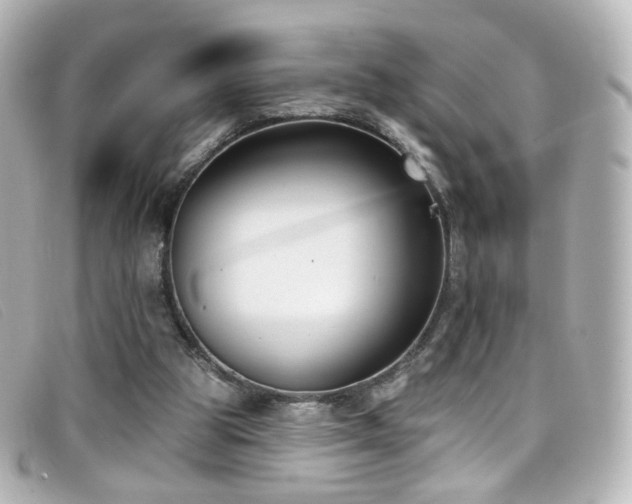 X0000099440153200805091320