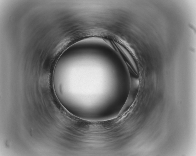 X0000099440154200805091320