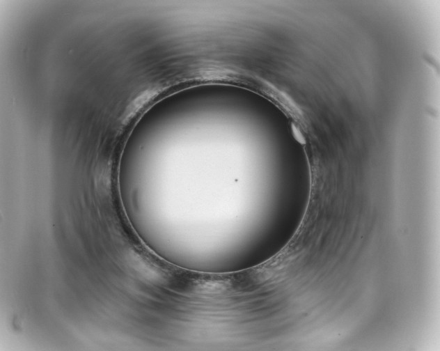 X0000099440155200805091320