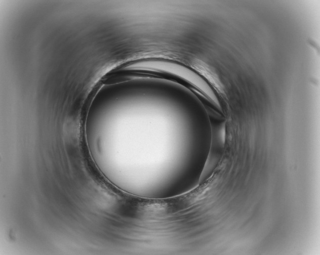 X0000099440156200805091320