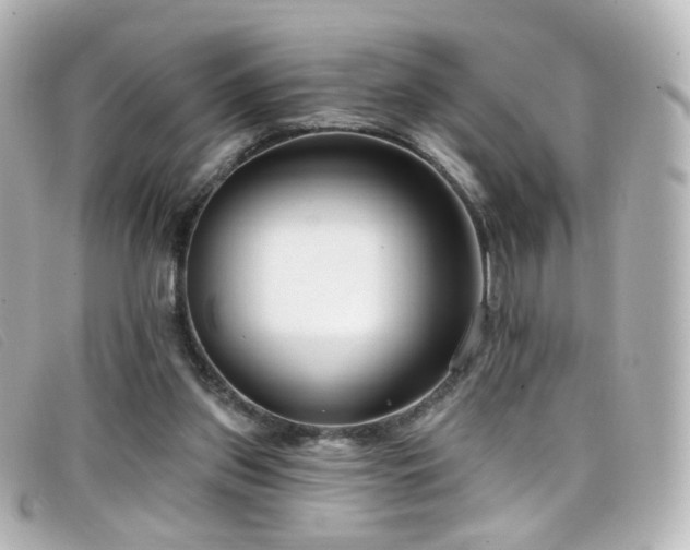 X0000099440157200805091320