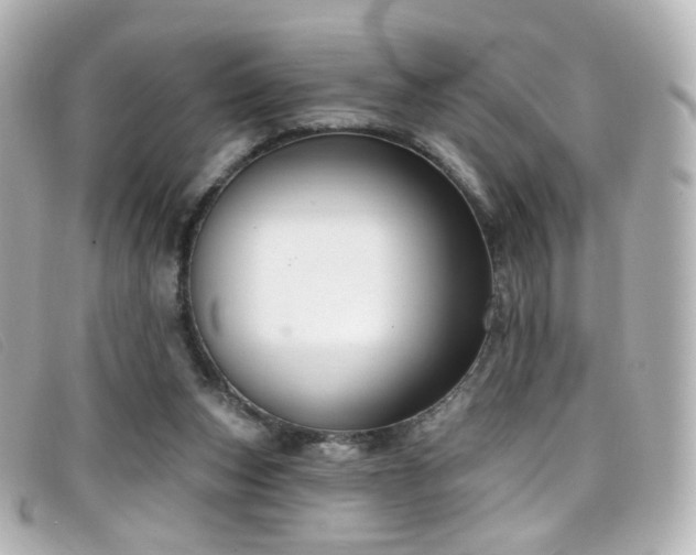 X0000099440159200805091320