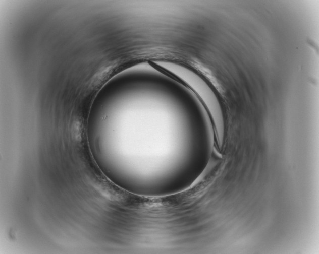 X0000099440161200805091320