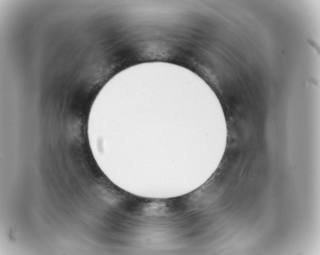 X0000099440162200805091320