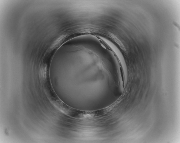 X0000099440163200805091320