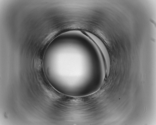 X0000099440164200805091320
