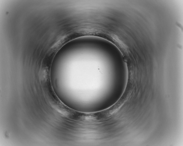 X0000099440165200805091320