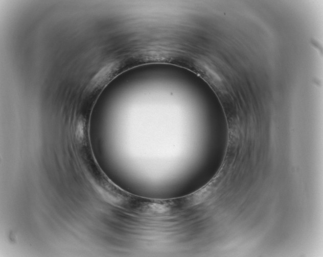 X0000099440166200805091320