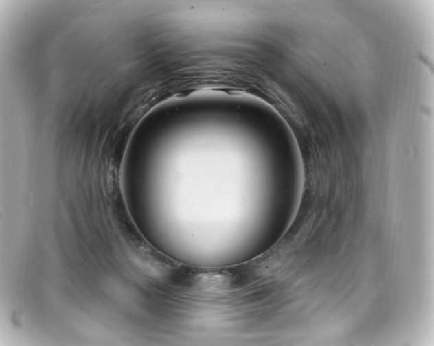 X0000099440169200805091320