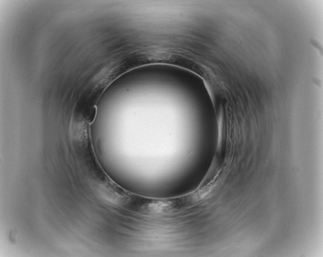 X0000099440172200805091320