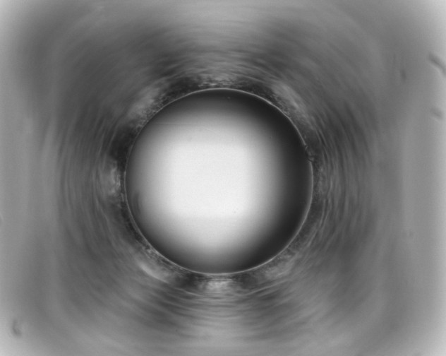 X0000099440173200805091320