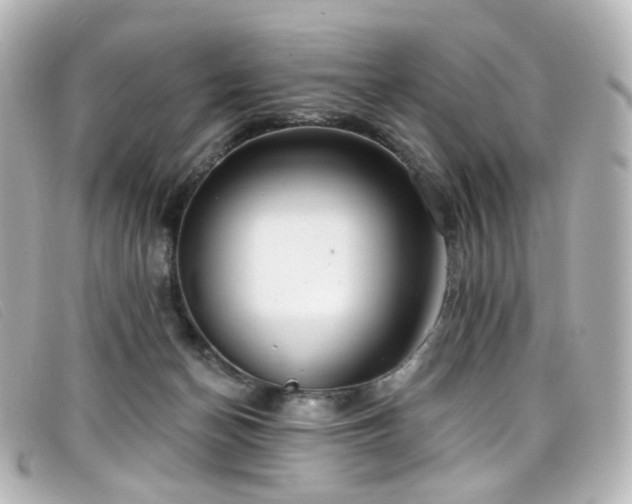 X0000099440174200805091320