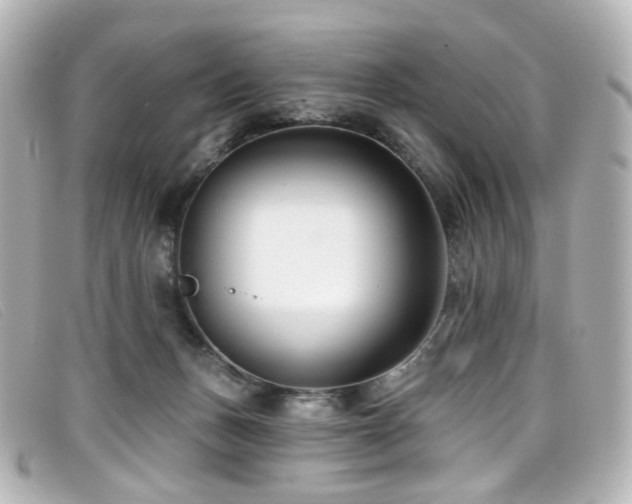 X0000099440175200805091321