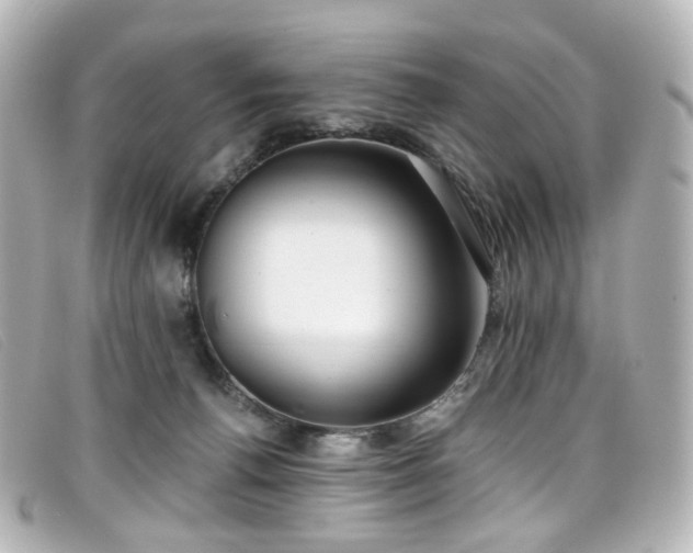 X0000099440176200805091321