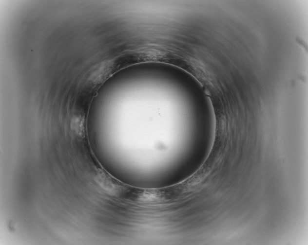 X0000099440177200805091321