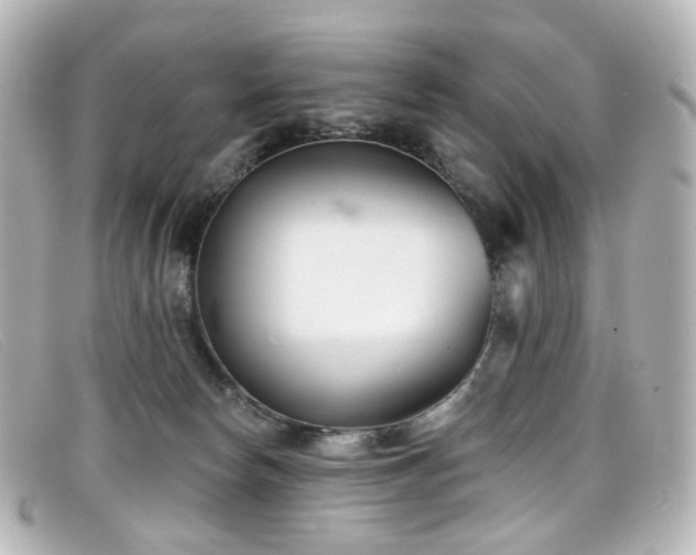 X0000099440178200805091321
