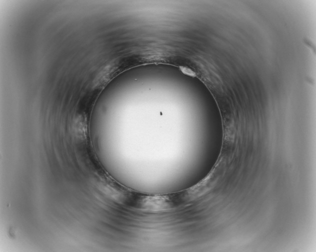 X0000099440179200805091321