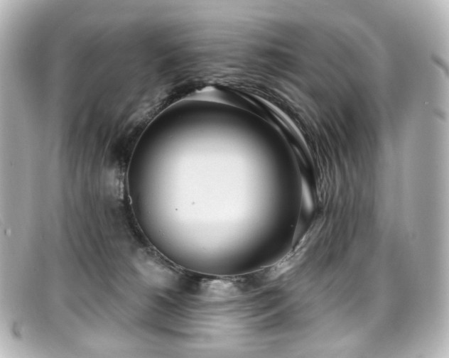 X0000099440180200805091321