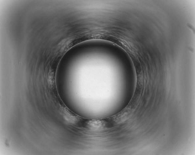 X0000099440181200805091321