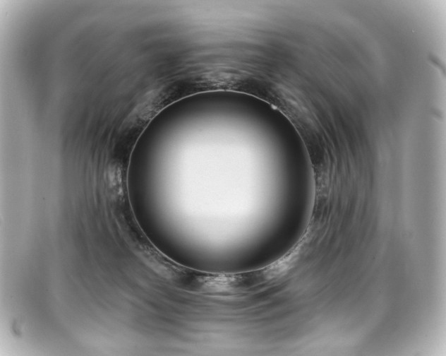 X0000099440182200805091321