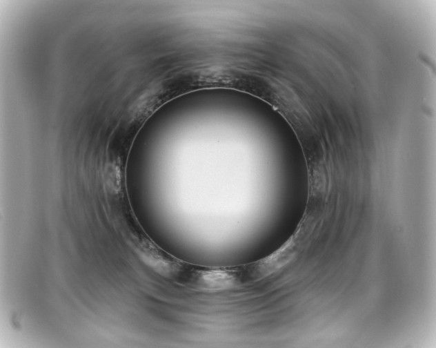 X0000099440183200805091321