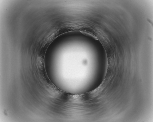 X0000099440184200805091321