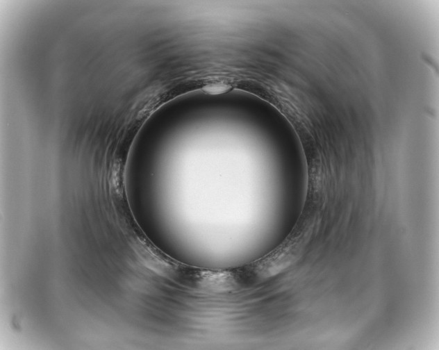 X0000099440185200805091321