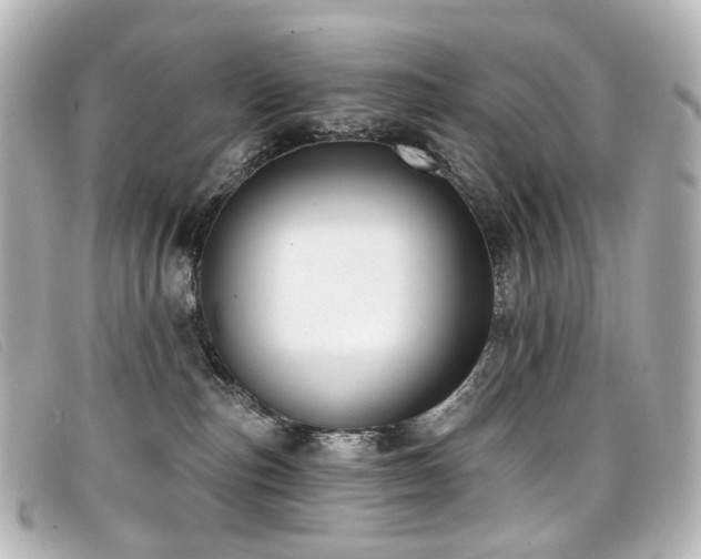 X0000099440187200805091321
