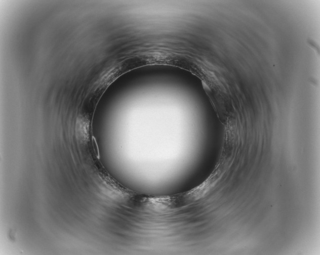 X0000099440188200805091321