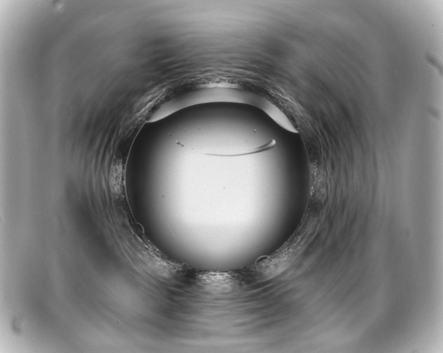X0000099440189200805091321