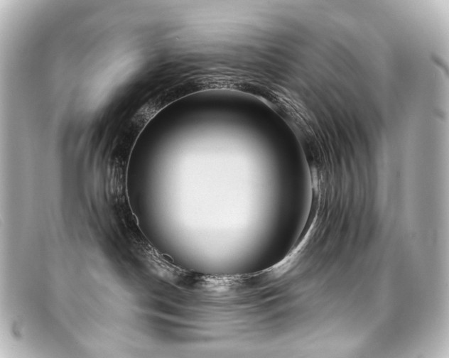 X0000099440190200805091321