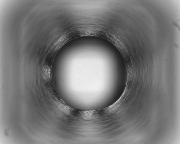 X0000099440191200805091321