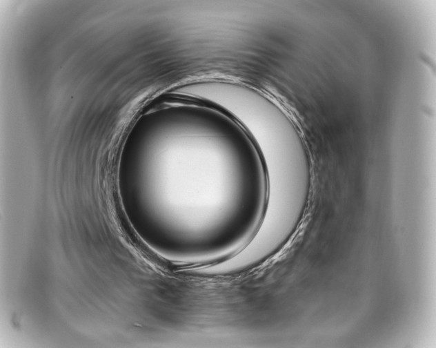 X0000099440193200805091320