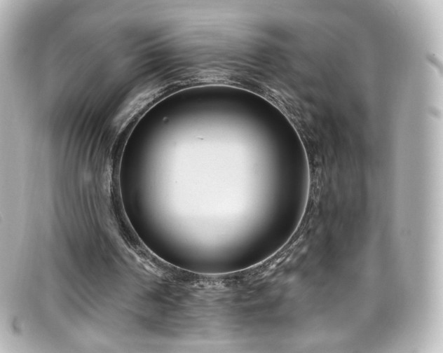 X0000099440194200805091320