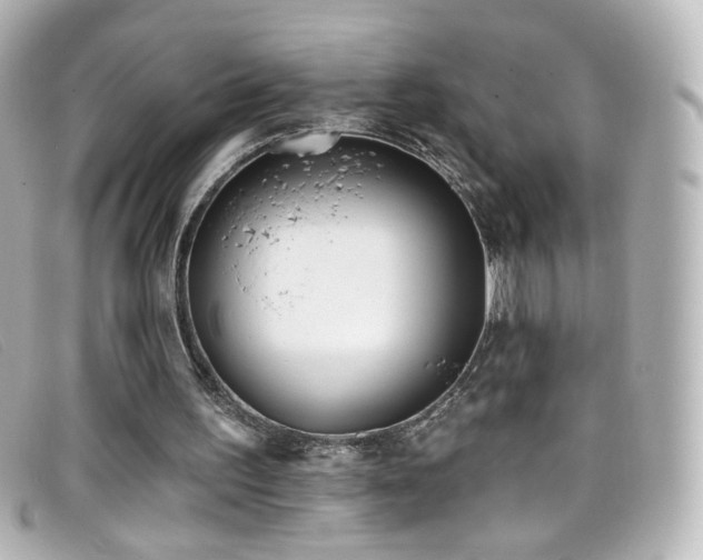 X0000099440195200805091320