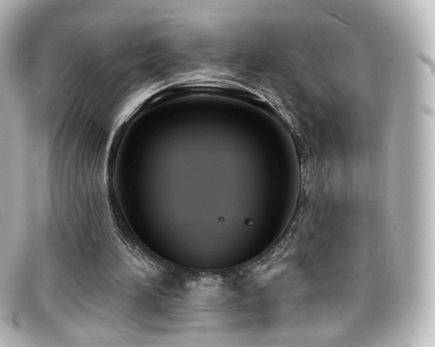 X0000099440196200805091320